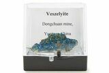 Vibrant Blue Veszelyite Crystal Cluster - China #337104-1
